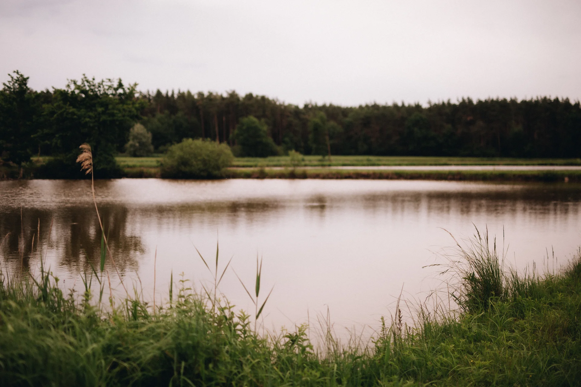 Ariane Schmidt – Kraftquelle Natur: ein stiller Weiher im Grünen